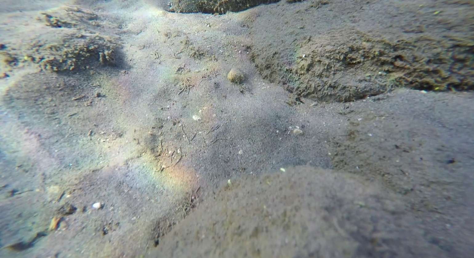 Regarder la vidéo